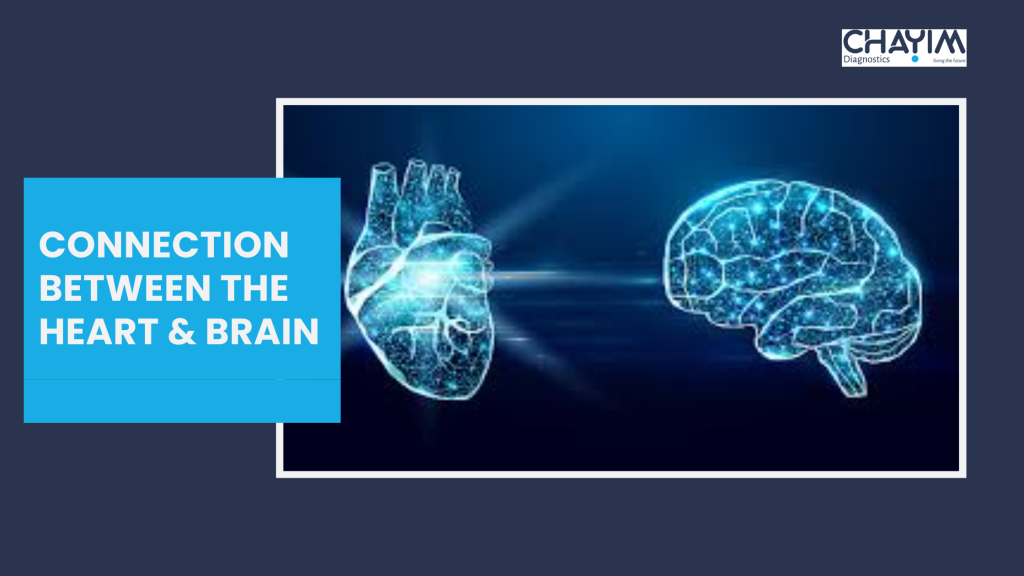 Connection between the heart and brain